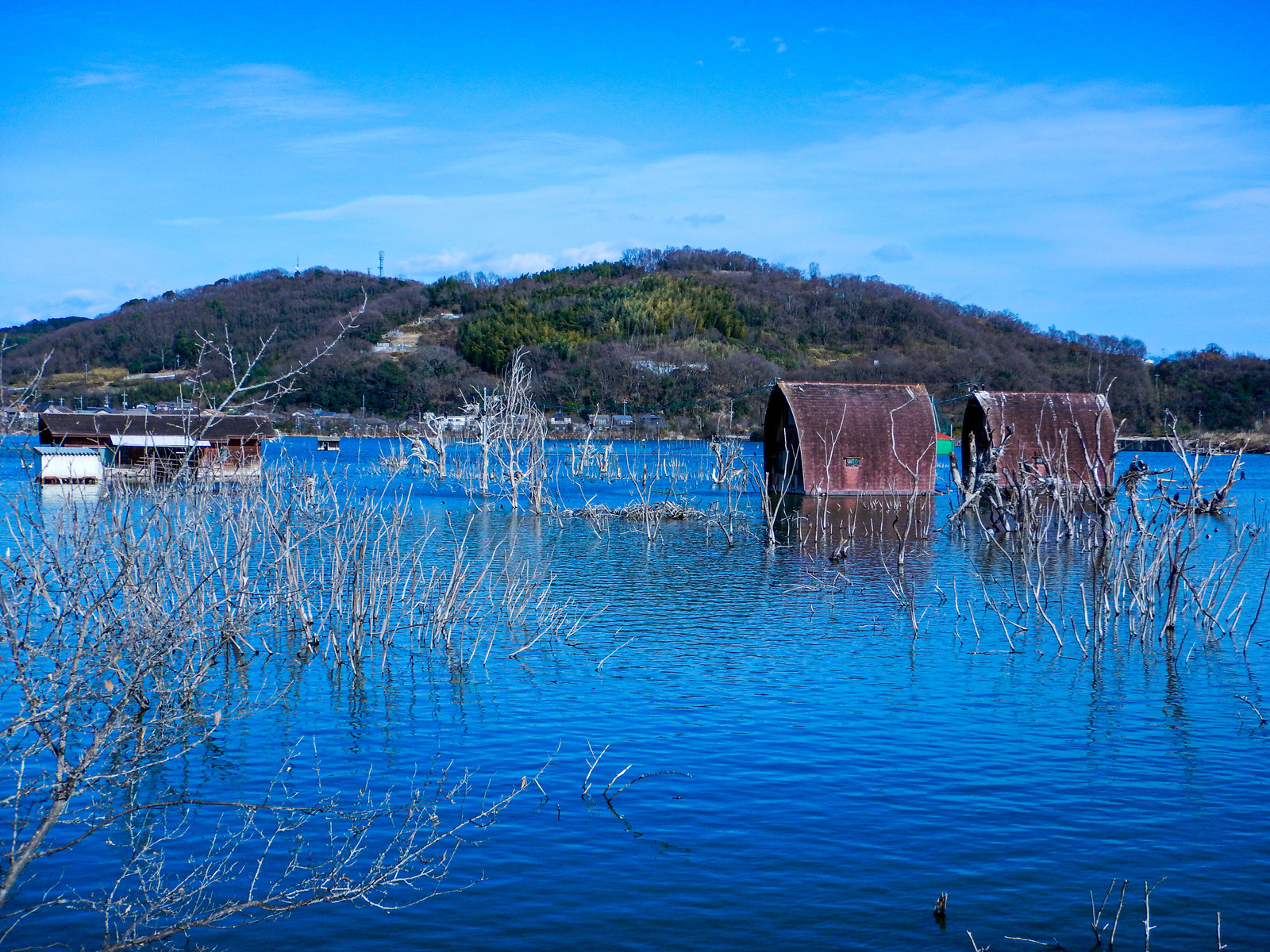 冠水と浸水は何が違う それぞれの意味を調べてみた